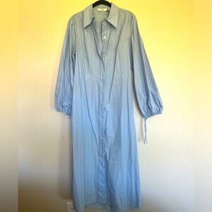 & Other Stories Light Blue Striped Long Sleeve Shirt Dress